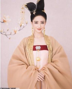褚振中